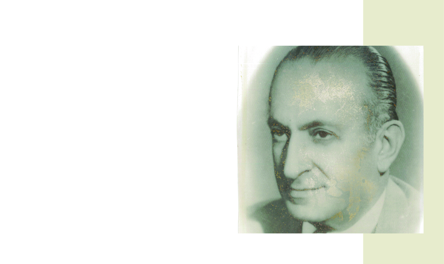 Fawzi Tamer